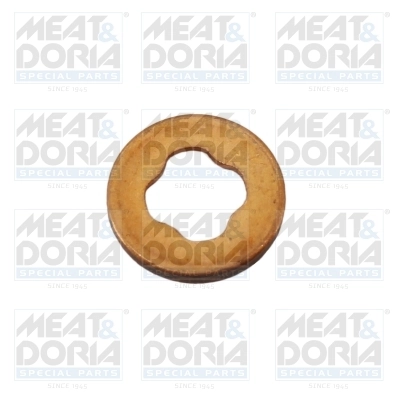 Seal Ring, injector